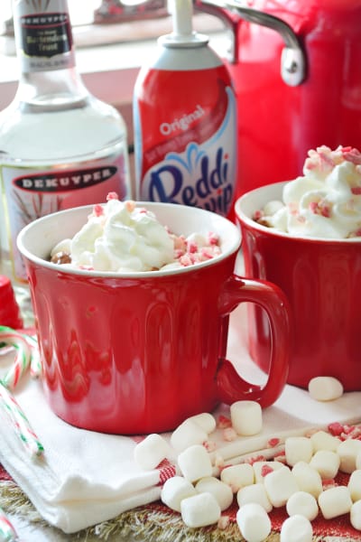 Boozy Slow Cooker Peppermint Hot Chocolate Recipe Food Fanatic