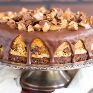 Peanut butter cup brownie cheesecake photo