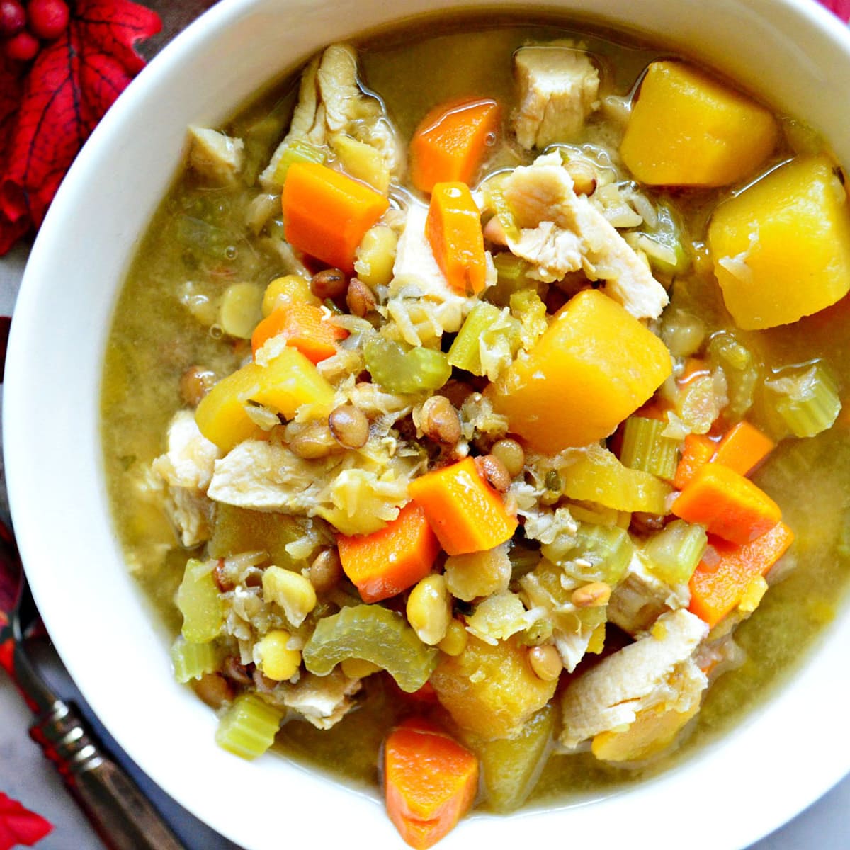 Turkey Butternut Squash And Lentil Soup Recipe Food Fanatic