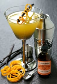 Orange Blossom Vodka Martini Recipe