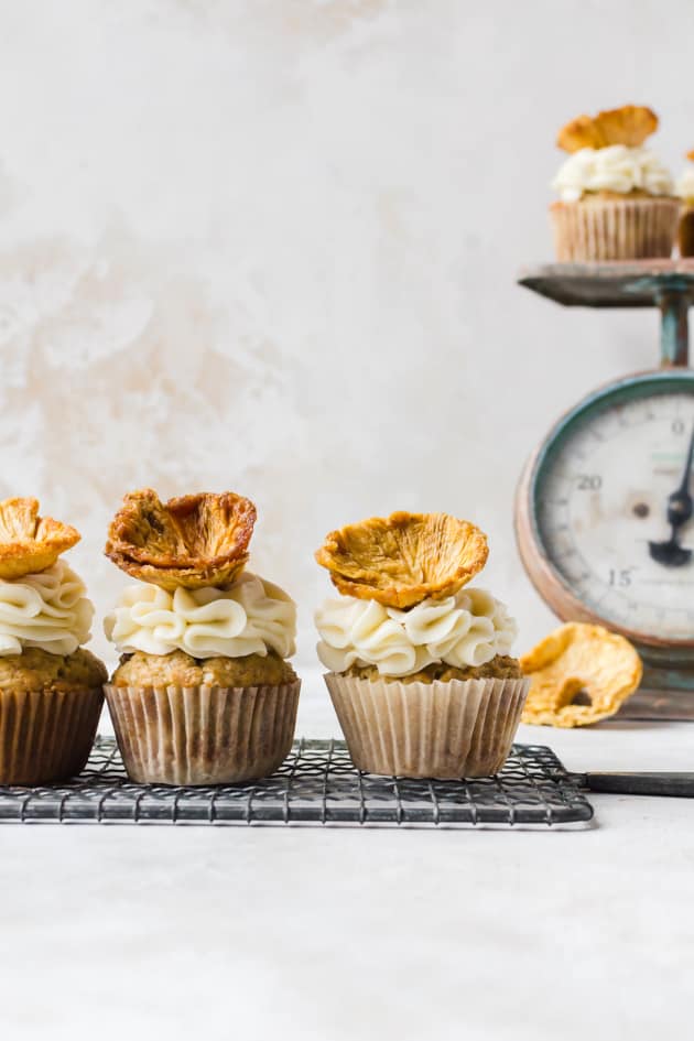 Hummingbird Cupcakes Picture