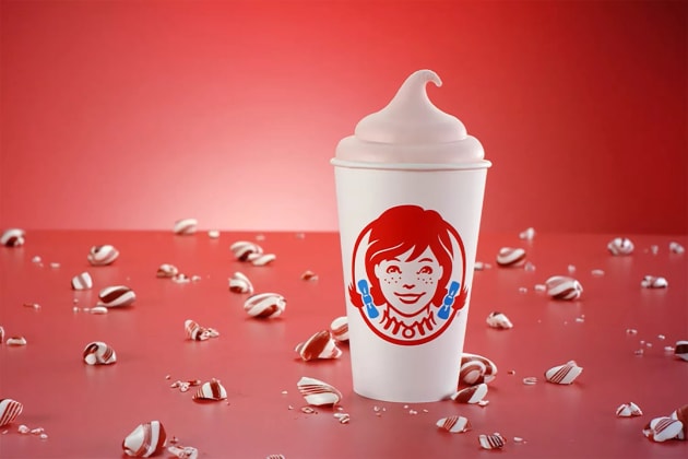 Wendy's Peppermint Frosty Photo