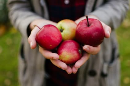 The Best Apples for Juicing
