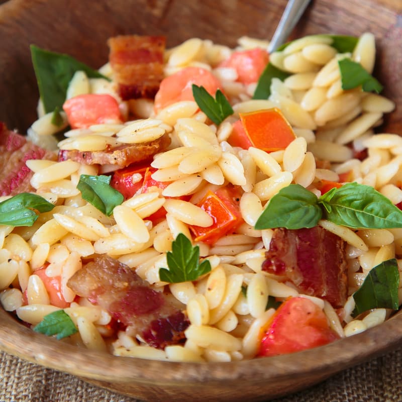 Bacon Tomato Pasta Salad Recipe Food Fanatic