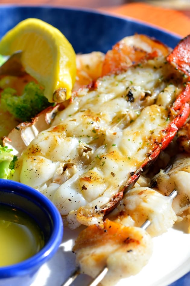 Lobster Image