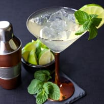 Moscow Mule Martini Recipe