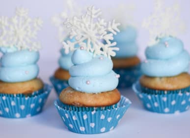 Frozen Cupcakes