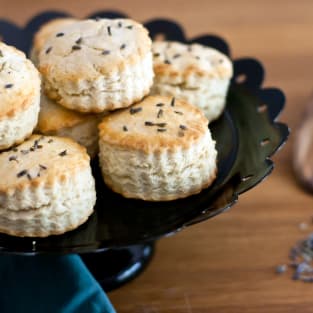 Lavender biscuits photo