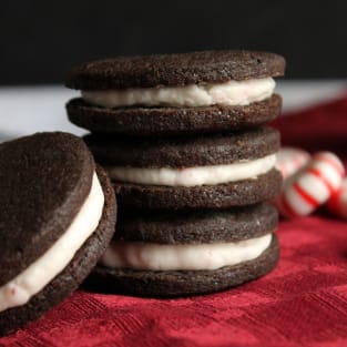 Peppermint candy cane cookies photo
