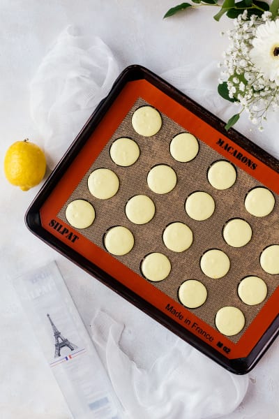 Silpat Macaron Mat Review - Food Fanatic