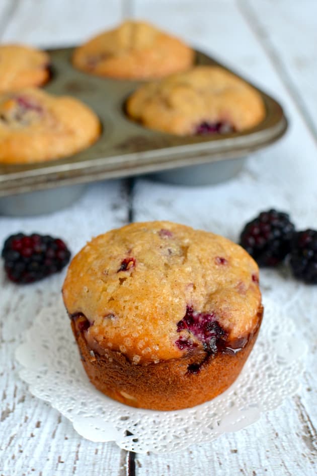 Blackberry Yogurt Muffins Food Fanatic
