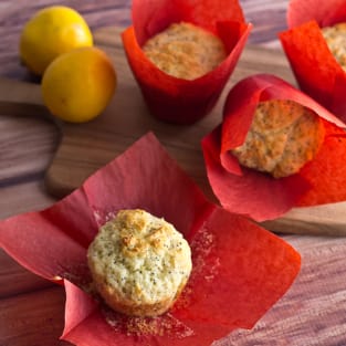 Lemon poppyseed muffins photo