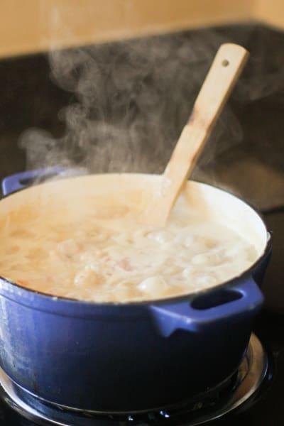 File 1 Gluten Free Cheddar Cheese Soup with Ham