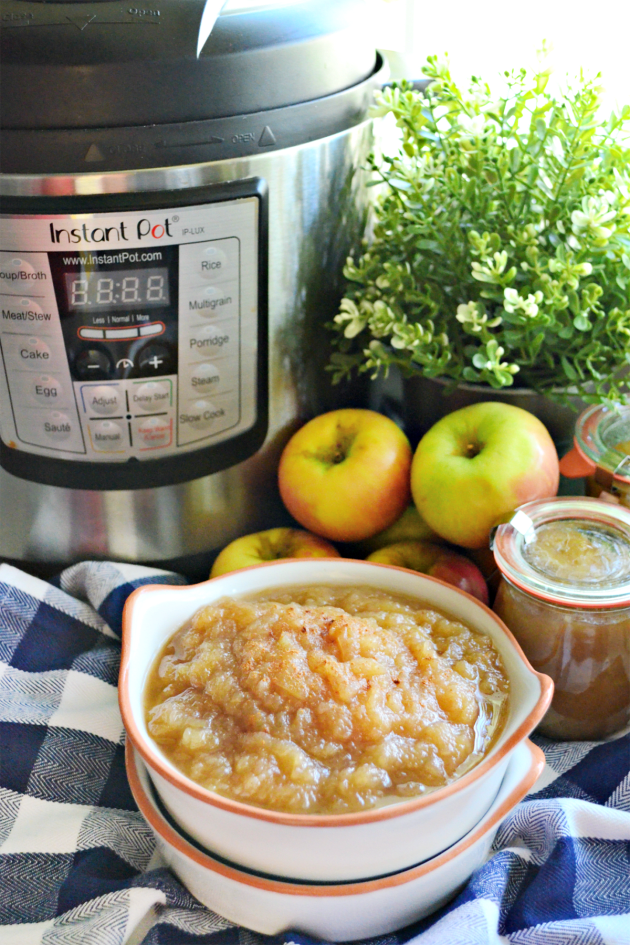 Instant Pot Applesauce Recipe - Food Fanatic