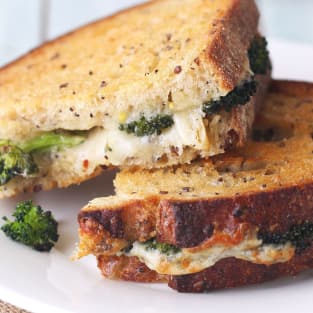 Toaster oven grilled cheese sandwich photo