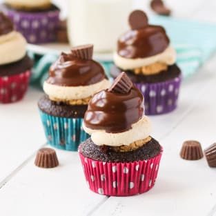Peanut butter cup cupcakes photo