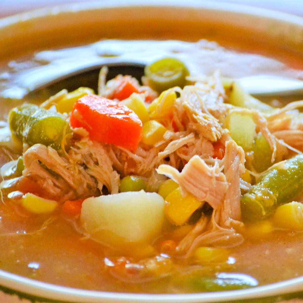 Turkey Vegetable Soup Recipe - Food Fanatic