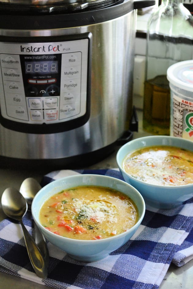 Instant Pot Italian Vegetable Lentil Soup Recipe - Food Fanatic