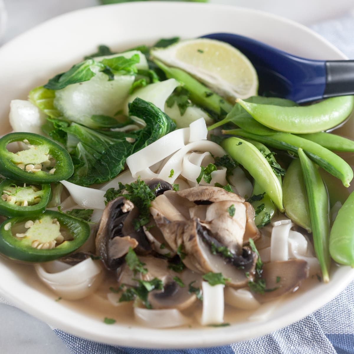 Vegtable pho top