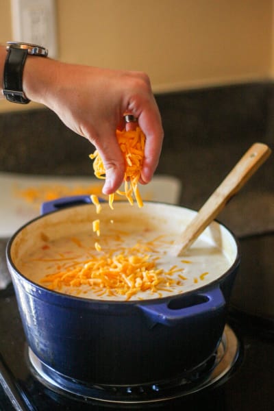 File 3 Gluten Free Cheddar Cheese Soup with Ham