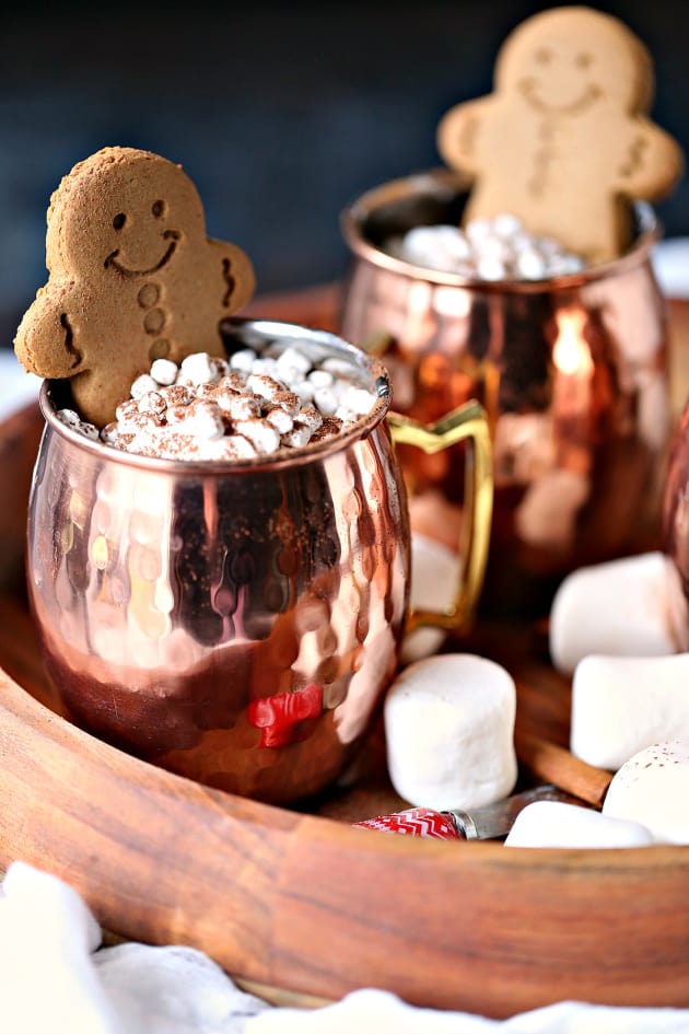 Gingerbread Hot Chocolate - Food Fanatic
