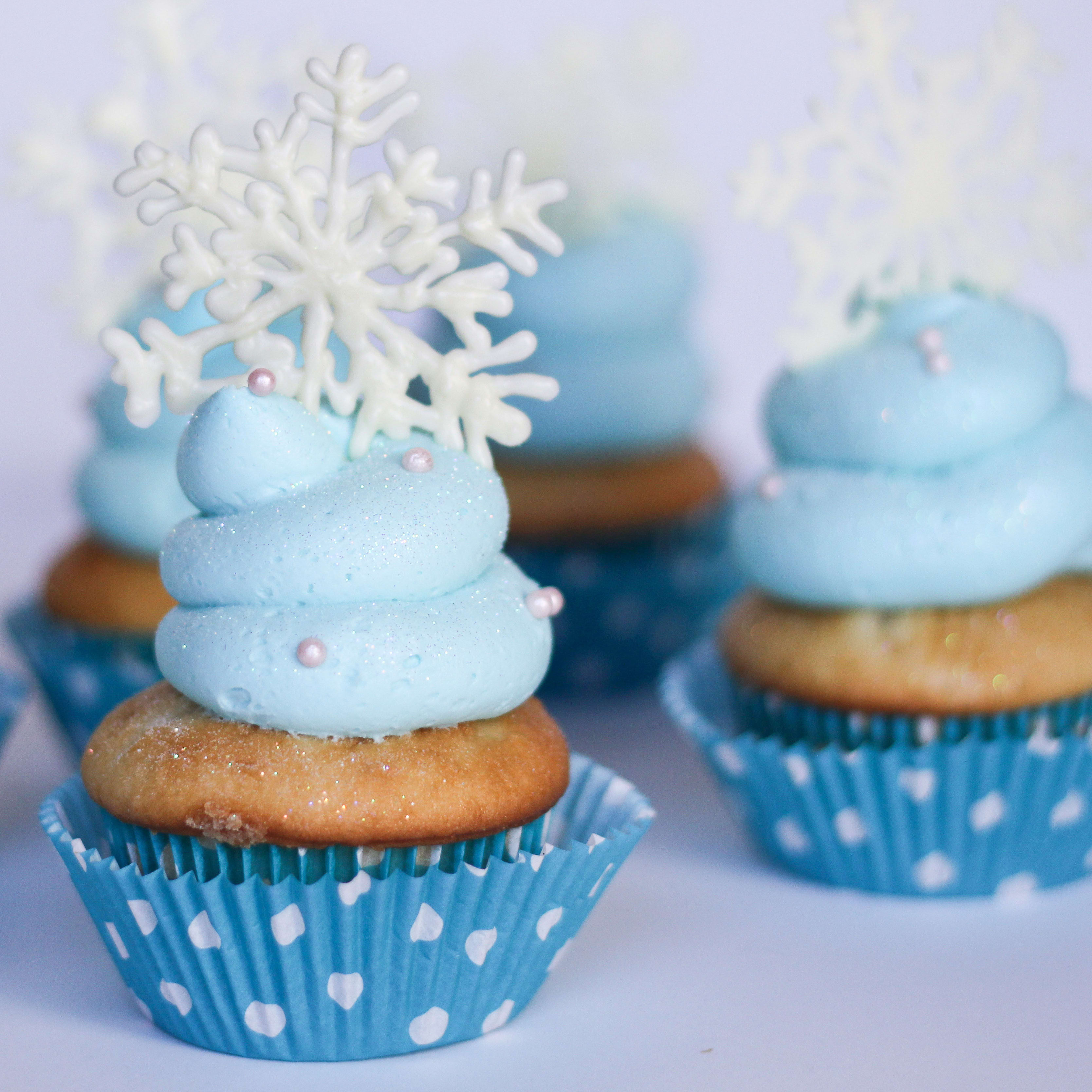 Frozen Cupcakes Recipe Food Fanatic