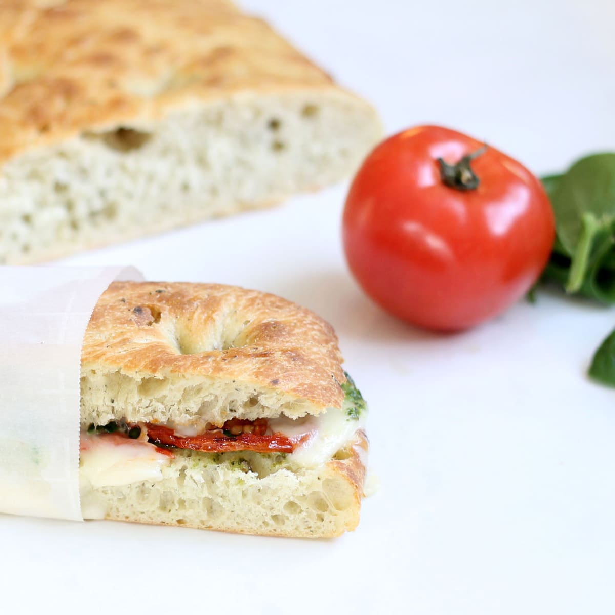 Roasted Tomato Mozzarella Panini Recipe Food Fanatic