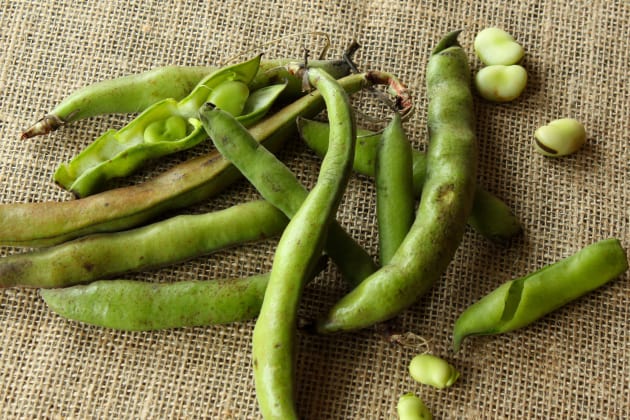 is it ok to eat raw fava beans