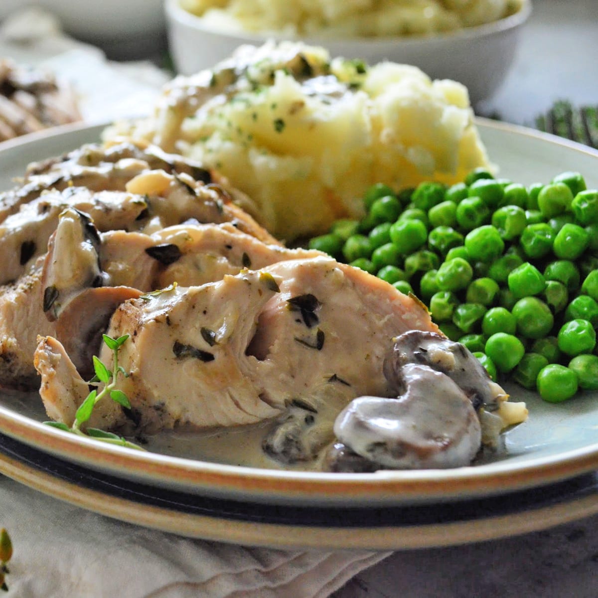 Instapot 2025 turkey tenderloin