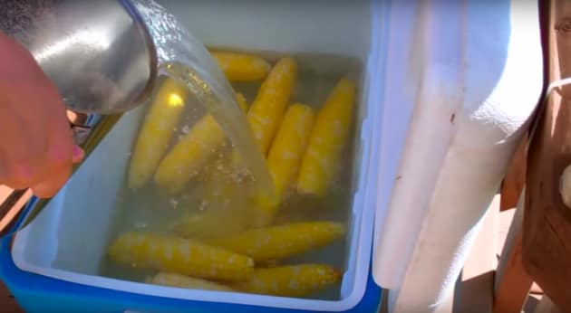 cooler corn