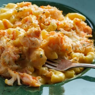Lobster mac and cheese photo