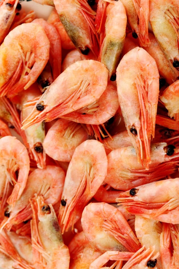 Shrimp picture