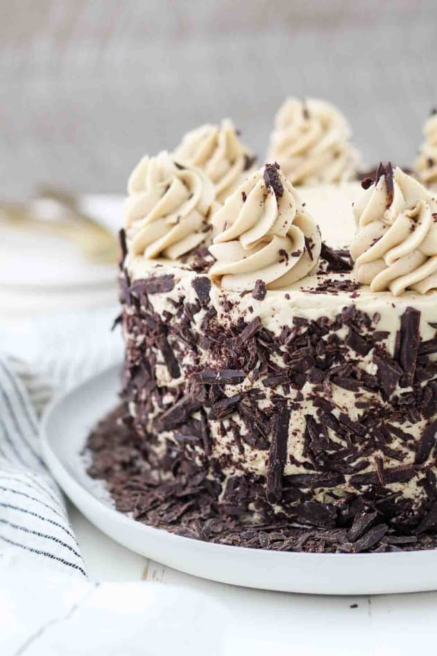 Chocolate Mocha Cake Recipe - Food Fanatic