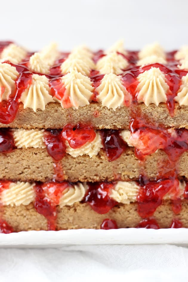 Peanut Butter & Jelly Torte Picture