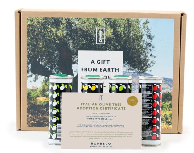 Bambeco Olive Tree Gift