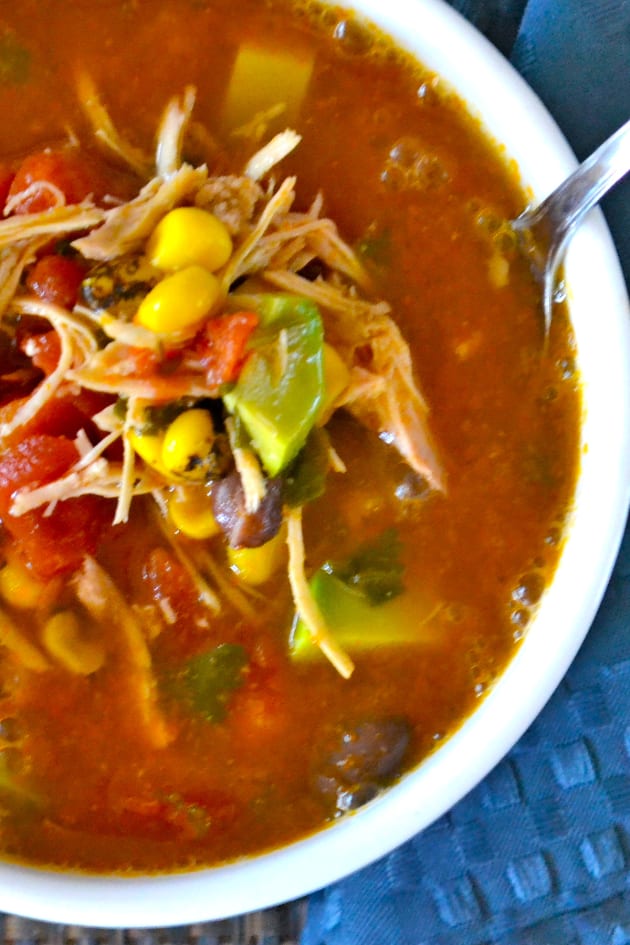 Mexican Chicken Soup Recipe - Food Fanatic