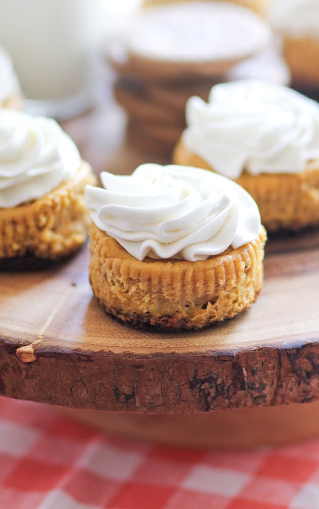 Mini Pumpkin Cheesecakes Picture