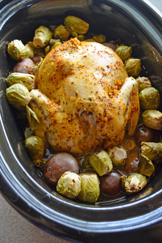Slow Cooker Chicken and Potatoes - Food Fanatic