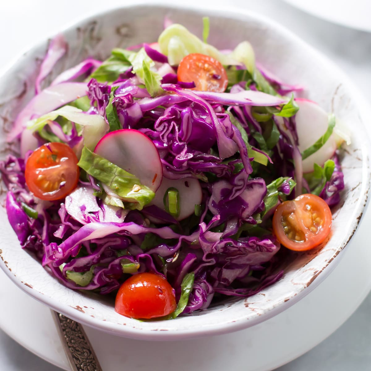 Quick Easy Red Cabbage Salad Recipe Food Fanatic