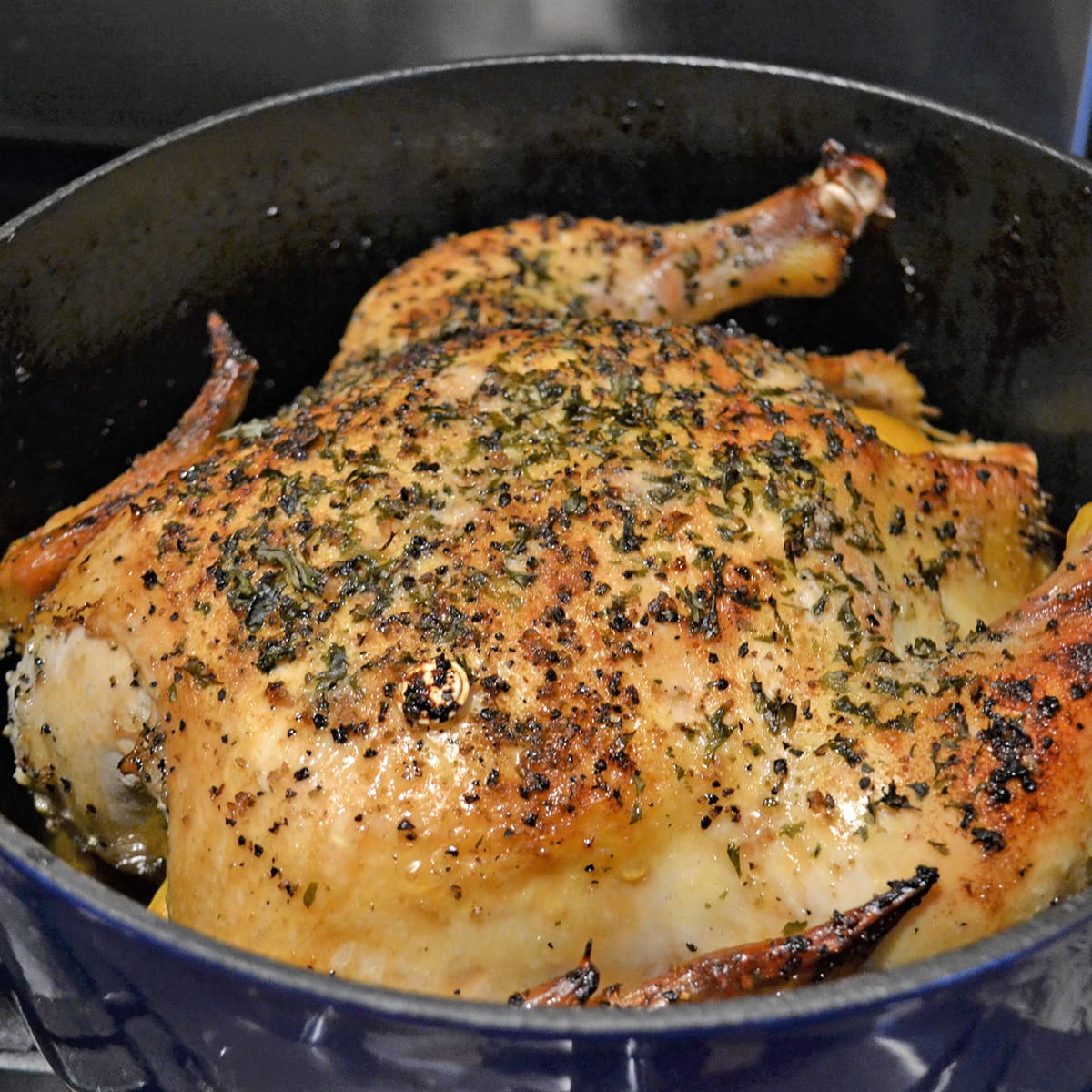 Dutch Oven Roast Chicken with Lemon Recipe