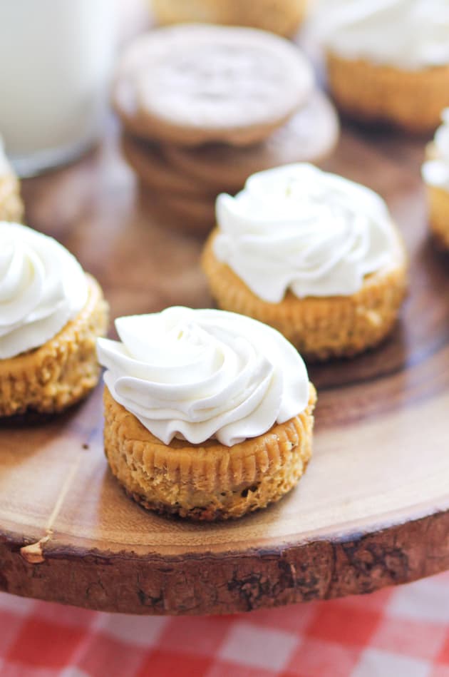 Mini Pumpkin Cheesecakes Image