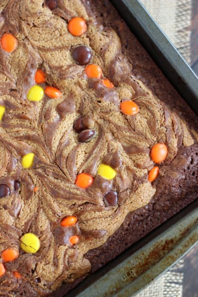 File 1 Peanut Butter Swirled Brownies