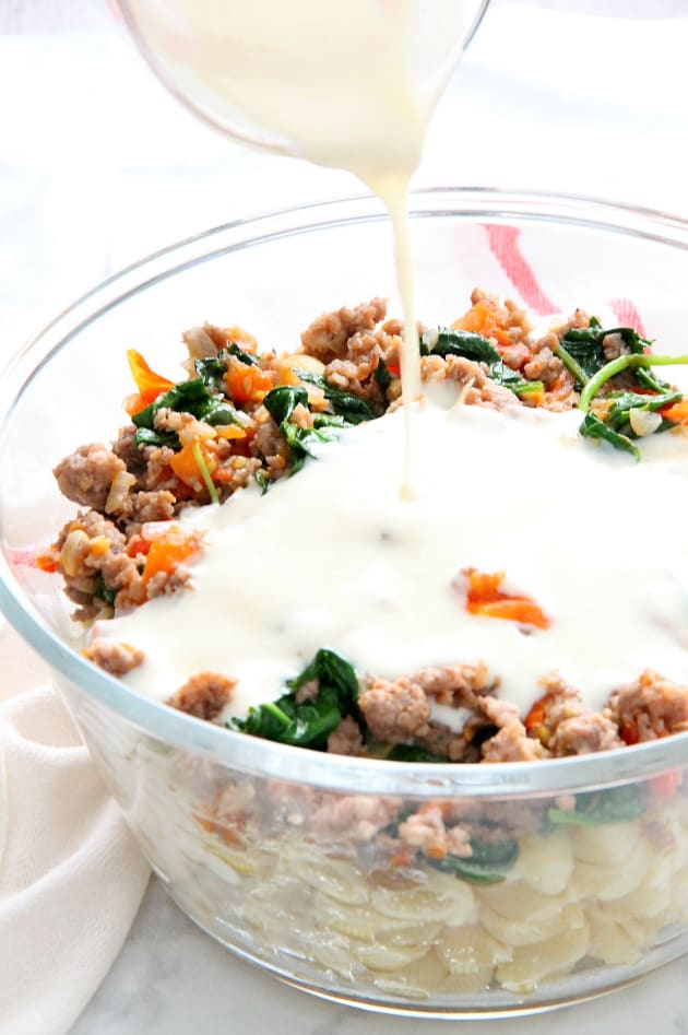 Creamy Sausage and Tomato Pasta Pic