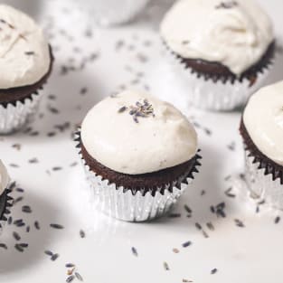 Chocolate cupcakes with lavender goat cheese frosting photo