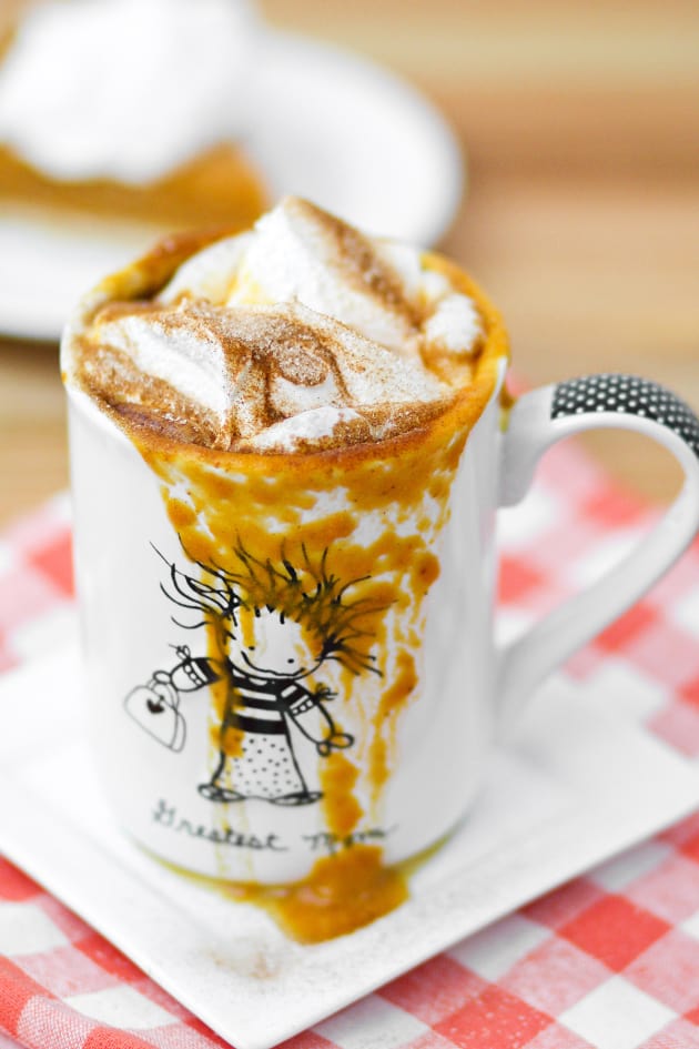 What to Mix With Fireball Food Fanatic