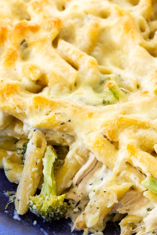 Chicken Alfredo Casserole Recipe - Food Fanatic