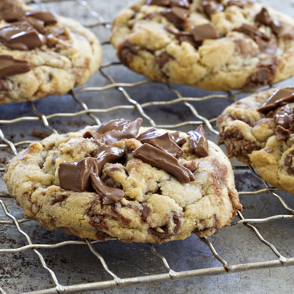 Marbled Chocolate Hazelnut Cookies Recipe Food Fanatic