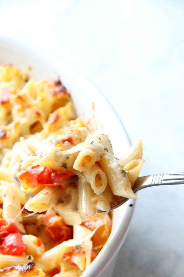 Cheesy Tomato Pasta Bake Recipe Food Fanatic