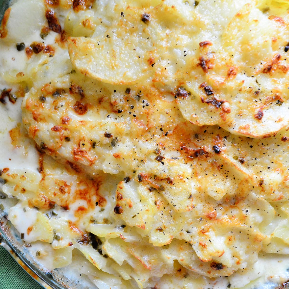 Instant Pot Scalloped Potatoes Recipe Food Fanatic