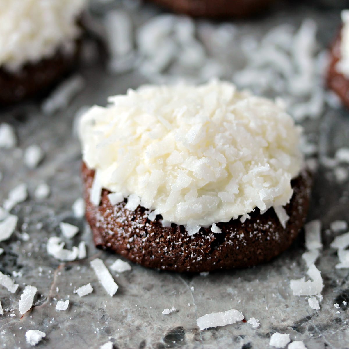 Chocolate Coconut Cookies